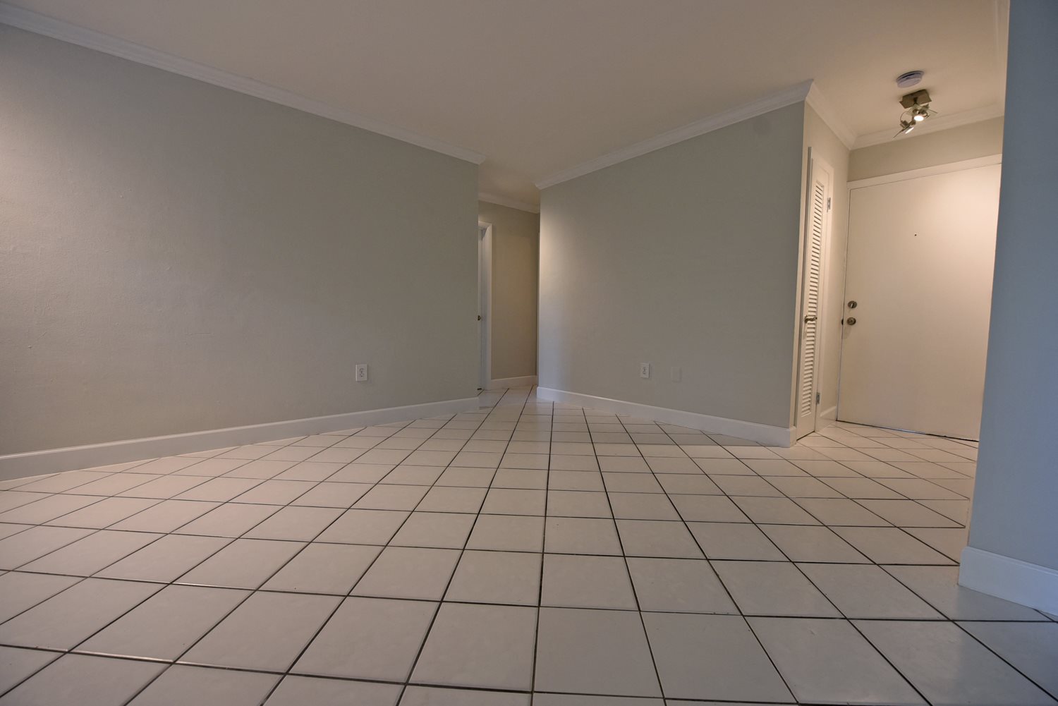 Gallery Photo 11